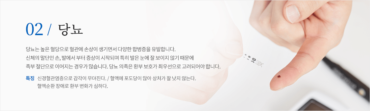 컨텐츠 이미지