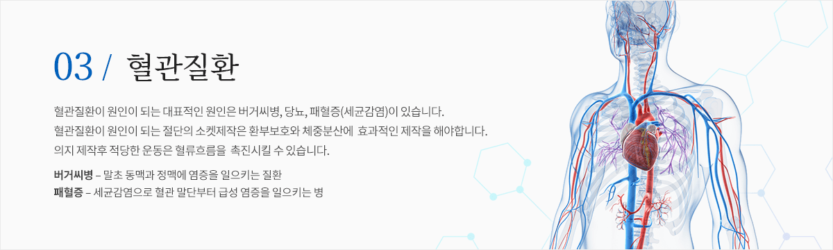 컨텐츠 이미지