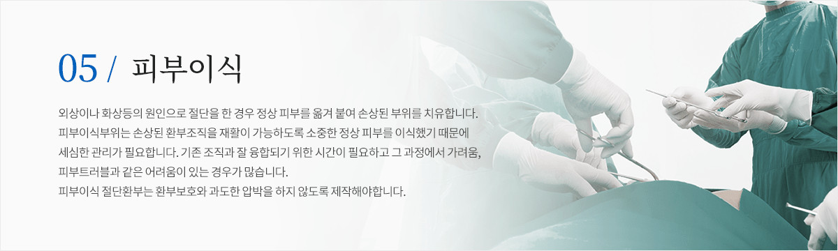 컨텐츠 이미지